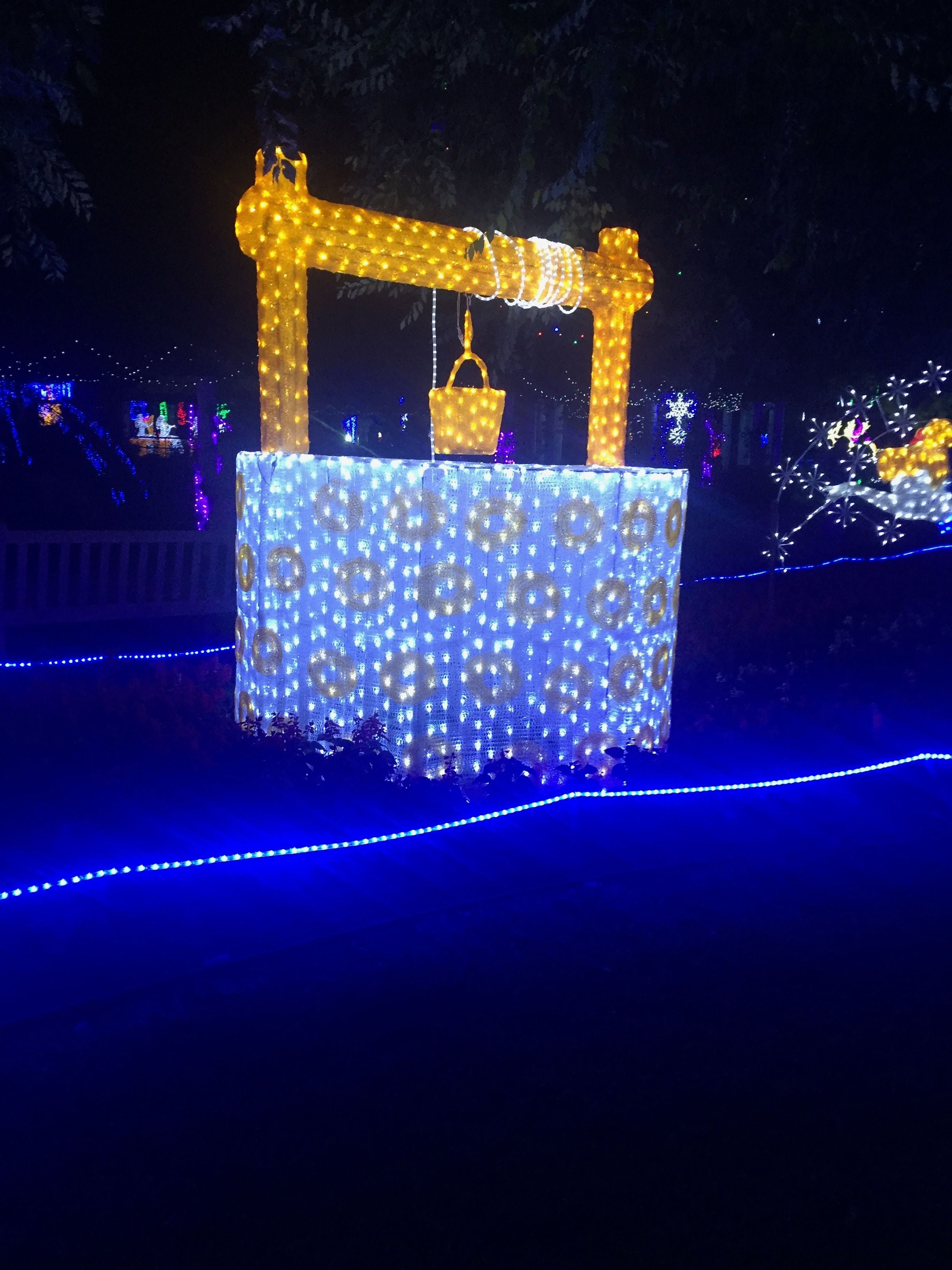 Hunter Valley Christmas Lights Spectacular Image -5b3abbdc21c36